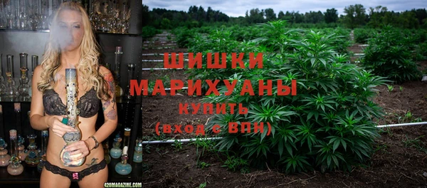 прущие грибы Карпинск