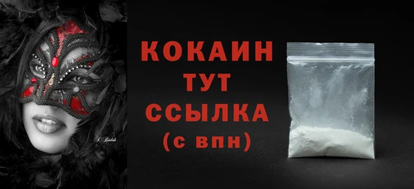 прущие грибы Карпинск