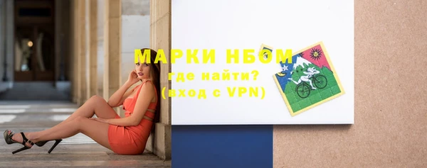 прущие грибы Карпинск