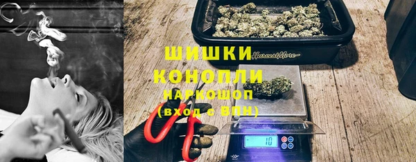 прущие грибы Карпинск