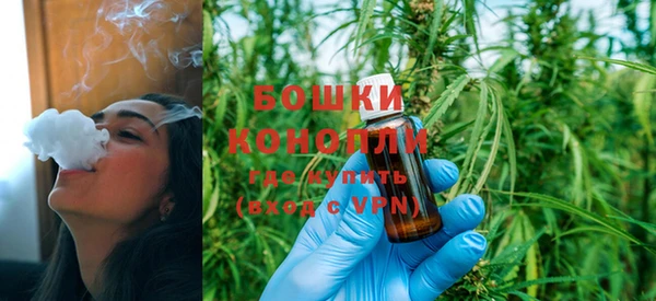 прущие грибы Карпинск
