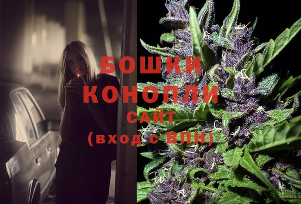 прущие грибы Карпинск