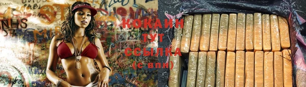 прущие грибы Карпинск