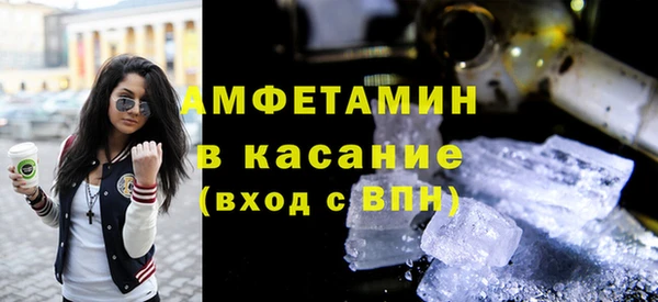 прущие грибы Карпинск